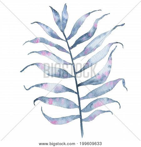 Watercolor tropical hand painted indigo leaf isolated on white background. Floral illustration. Botanical art