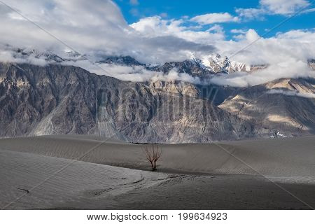 Landscape around Hunder Sand dunes in Nubra Valley, Ladakh, India