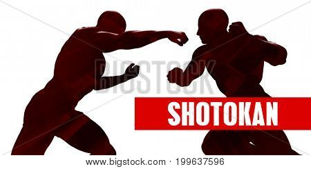 Shotokan Class with Silhouette of Two Men Fighting 3D Illustration Render