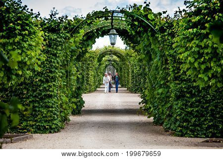 Rundale, Latvia - July, 2017: Green garden arches and path. Landscape gardening design in Rundale palace, Latvia