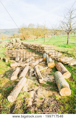 Timber logs on a lumberyard out in the fields