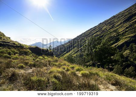 Green View On The Edge Senaru At Mount Rinjani