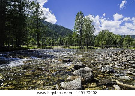 Russia, the Altai Republic, a shallow mountain river, among the round stones