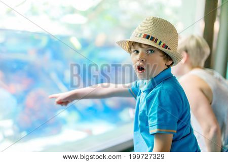Little kid boy admire different reptiles and fishes in aquarium through the glass in zoo. 