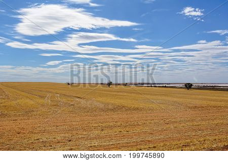 Blue sky with clouds over Lake Tyrrell and arable land after harvest near Sea Lake, Victoria, Australia