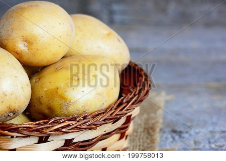Fresh new potatoes. Raw new potato in a wicker basket on a vintage wooden table. Closeup