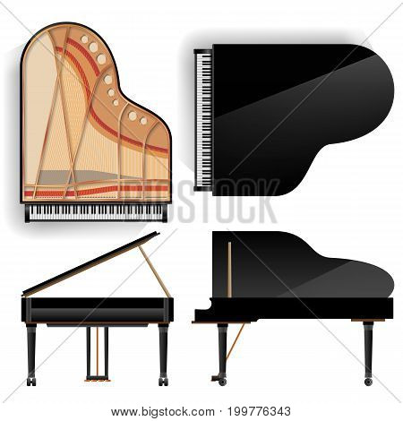 Black Grand Piano Set Icon Vector With Shadow. Realistic Keyboard. Isolated Illustration. Top And Back View
