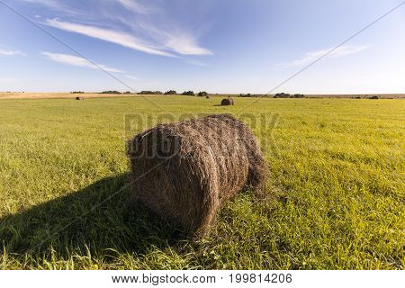 Roll of hay in a hot den on the field