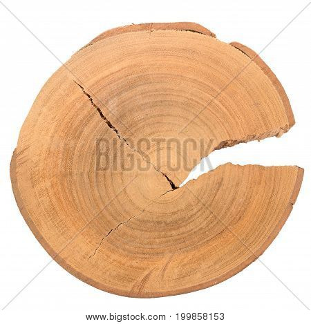Wood log slice cutted tree trunk isolated on white top view.