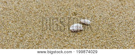 Balance stone on river coast Sand water pebbles relax