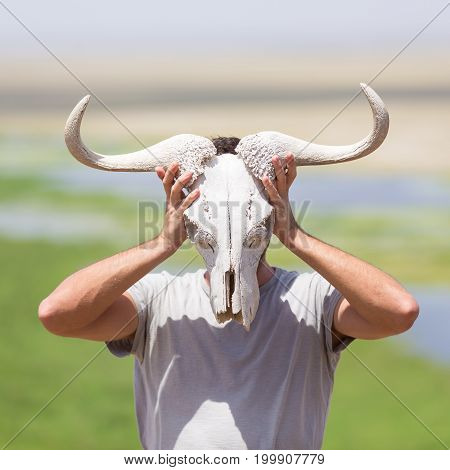 Man holding a white wildebeest skull wearing it like a mask in nature on african wildlife safari, Amboseli national park, Kenya.
