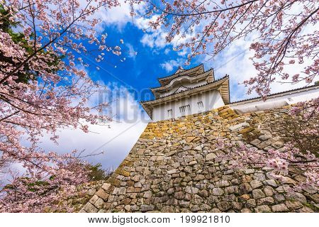 Akashi, Japan at Akashi Castle in spring.
