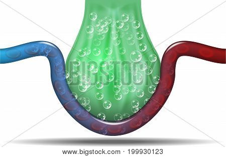Alveolar air gas exchange in lungs illustration