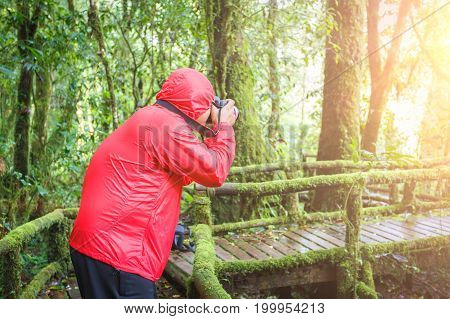Beautiful rain forest during the rainy season at Nature Trail Doi Inthanon National Park Chom Thong Chiang Mai Thailand is a location very popular for photographers and tourists