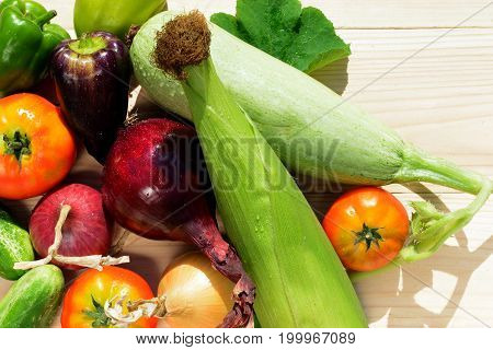Green dill, purple peppers, tomatoes, zucchini, blue and yellow onion on a wooden background