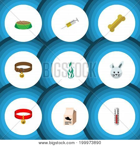 Flat Icon Animal Set Of Hound Necklace, Rabbit Meal, Fish Nutrient And Other Vector Objects