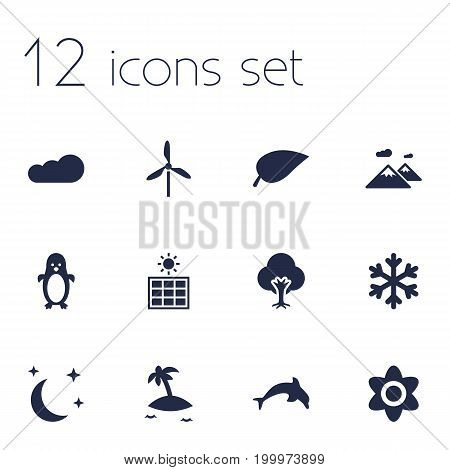 Collection Of Midnight, Pinnacle, Overcast And Other Elements.  Set Of 12 Bio Icons Set.