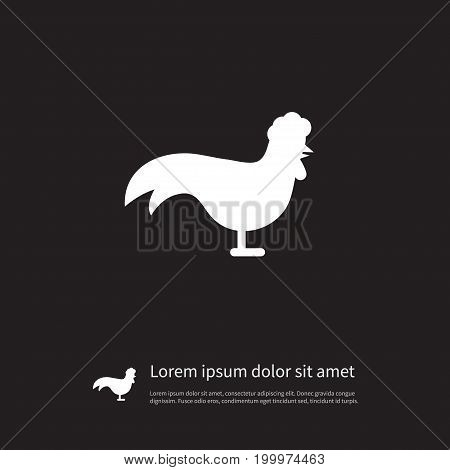 Chicken Vector Element Can Be Used For Chicken, Rooster, Cock Design Concept.  Isolated Bantam Icon.
