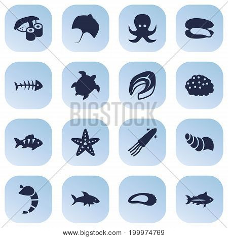 Collection Of Stingray, Clam, Roe And Other Elements.  Set Of 16 Seafood Icons Set.