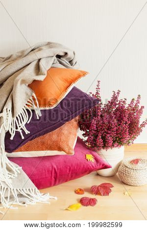 colorful cushions throw cozy home autumn mood flower leaf