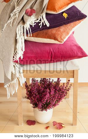 colorful cushions throw cozy home autumn mood flower leaf