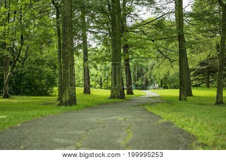 Little trail with trees and grass at maisonneuve park in montreal