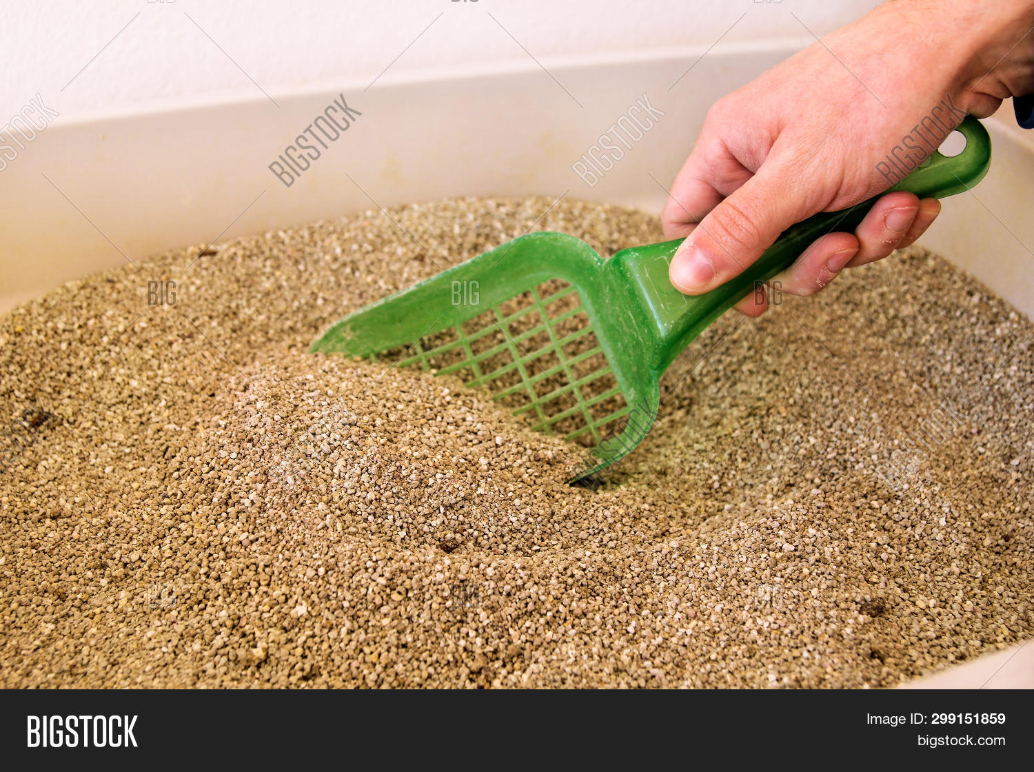 Diy Cat Litter Sand Fast Easy Process To Powder Bentonite Clay Cat