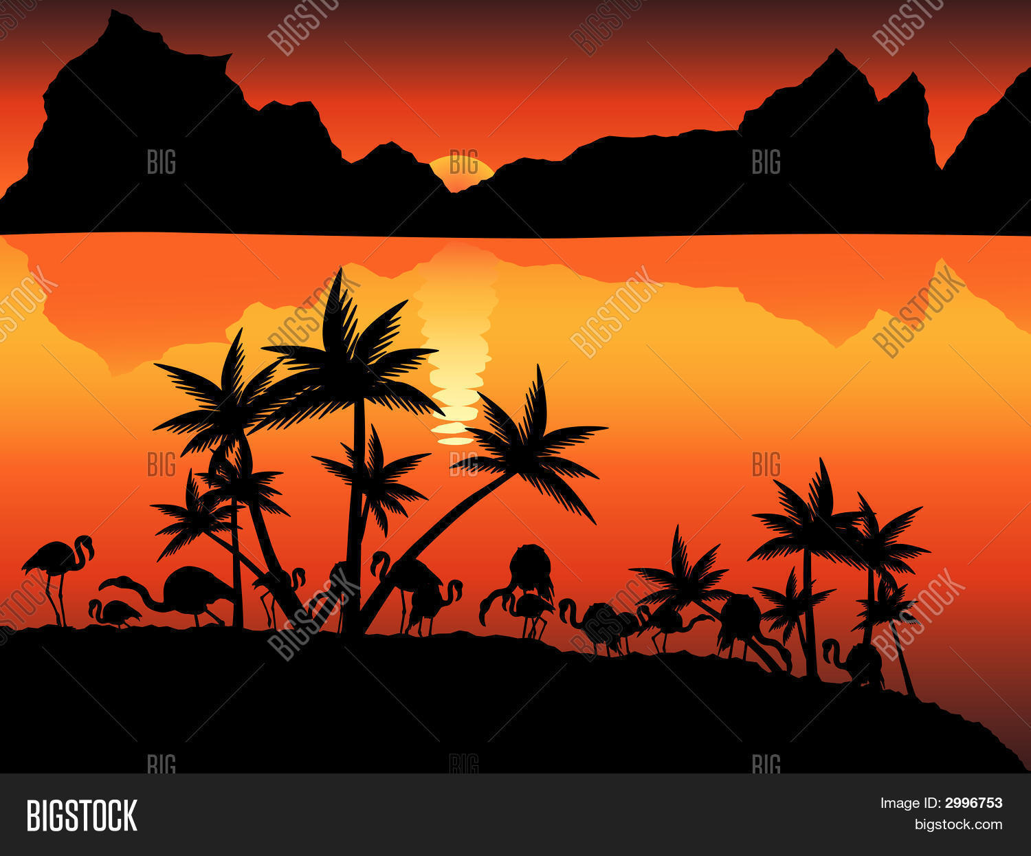 Image Preview