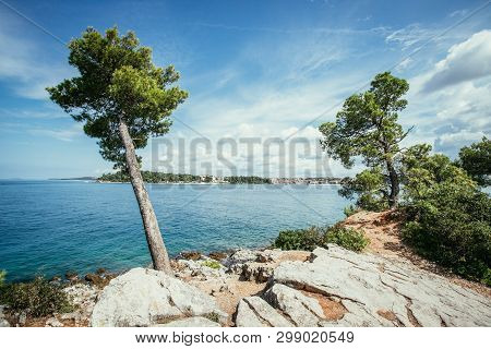 Coastal Line In Croatia: Strong Green Tea, Blue Ocean And Sky