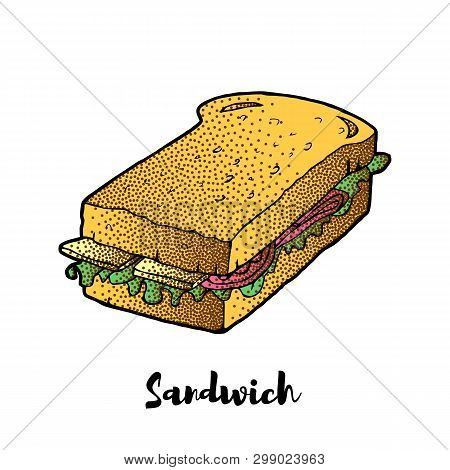 Sandwich Hand Drawing. Vector Sketch. Great For Restaurant Menu Or Banner