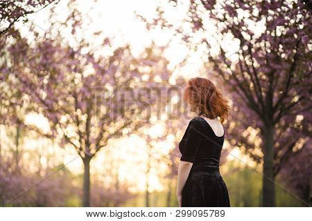 Happy Young Travel Dancer Woman Enjoying Free Time In A Sakura Cherry Blossom Park - Caucasian White