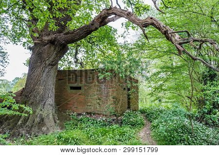 Second World War Type 24 Pillbox With Brick Construction And Concrete Loopholes Being Overgrown Unde
