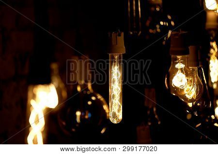 Bulbs Erickson Suspended With The Cells With The Decoration Bird. Yellow Warm Lamp Light