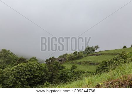 Pasture In The Town Of Lajes In Flores, Azores.