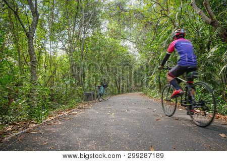 Bike Lane For Cyclists Cycling Along Trees In The Forest. Natural Lush Green Foliage In Summer In Sr