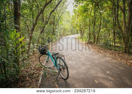 A Bicycle Parking On The Empty Paved Road Of Bike Lane. Summer Green Foliage In The Tropical Forest.