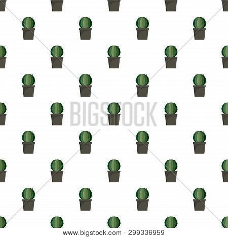 Sphera Cactus Pot Pattern Seamless Repeat For Any Web Design