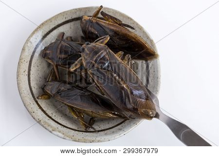 Food Insects: Giant Water Bug For Eating As Food. Insect Items Cooking Deep-fried Snack On Plate Wit