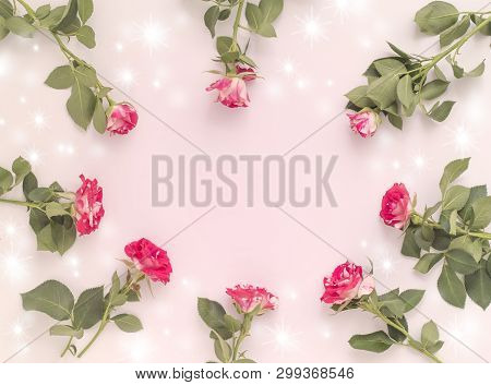 Rose Flowers On Pink Background . Flat Position, Top View, Copy Space