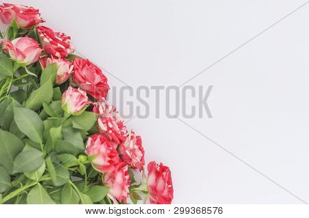 Flat Corner Layout ,beautiful Roses On White Background With Copy Space Top View