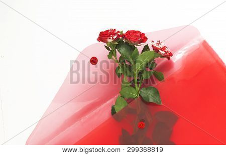 Gift Pink Roses In Red Envelope On White Background