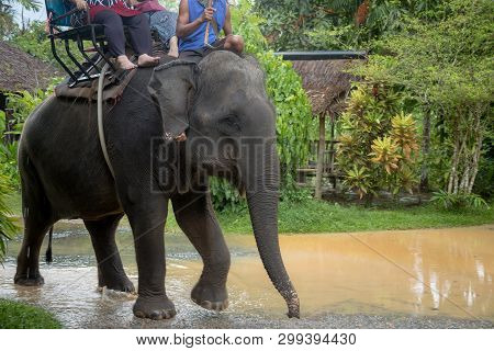 Asian Natural Scenery. Popular Attraction In Thailand