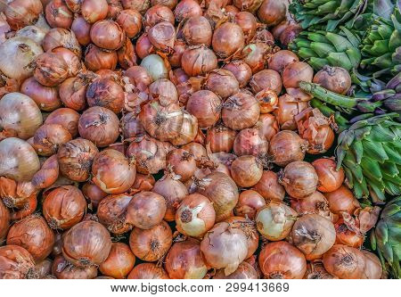 Shot Full Of Onions With A Few Artichokes On The Edge Of The Shot.  Beautiful. Golden Onions Ready T