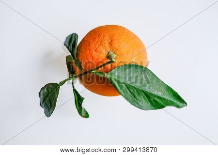 Natural Single Orange With Green Leaves On A Plain Light Grey Background.