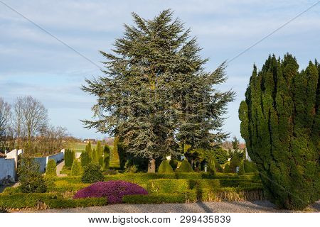 Vegetation In The Graveyard Of Kalvehave In Denmark On A Sunny Spring Day