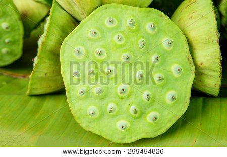 Lotus Seeds Close Up On Banana Feaf Background