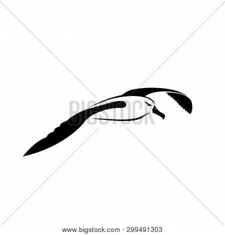 Albatross Flying - Vector Illustration - Vector