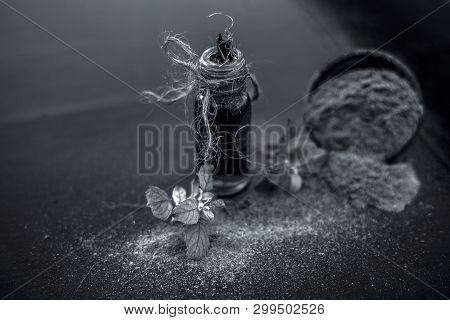 Ayurvedic Herb Brahmi Or Waterhyssop Oil In A Small Transparent Glass Bottle Along With Its Powder O
