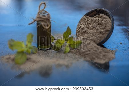 Ayurvedic Herb Brahmi Or Waterhyssop With Its Essence  In A Small Transparent Glass Bottle Along Wit