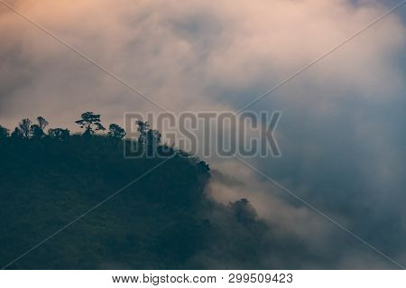 Mystery Fog Covered Forest On Mountain Landscape.